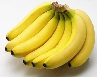 Mudas de Banana Nanica, d´Água ou Caturra – Clone Grand Naine