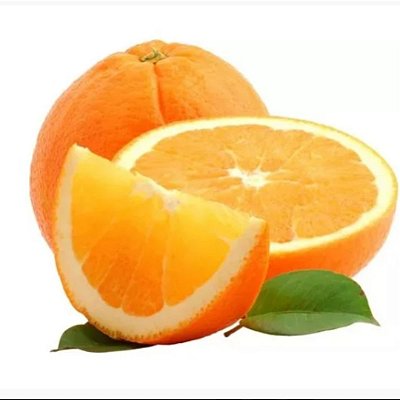 Muda De Laranja Charmute Pera Mel Enxertada