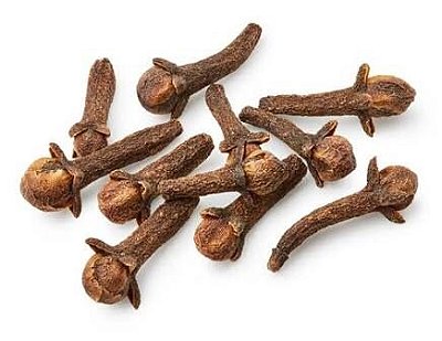 Muda de Cravo da Índia - Eugenia caryophyllata