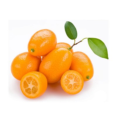 Muda  Laranja Kinkan ou xim xim Doce Produzindo   (Fortunella japonica)