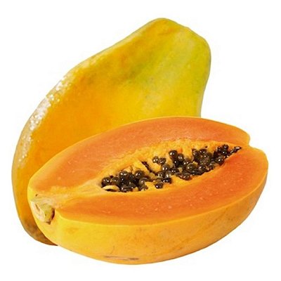 Muda Mamão Papaya (Carica Papaya)