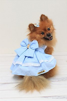 Vestido Condessa para Cães de Grande Porte