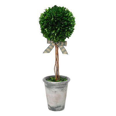 Vaso Decorativo Mini Árvore 53cm
