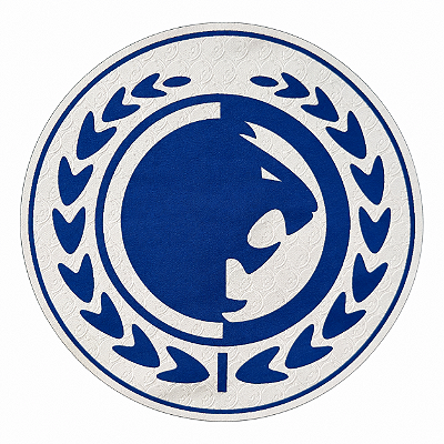 Patch RGA Gracie Team 190mm