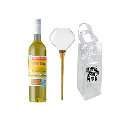 Kit Praia 2024 Tucumen Chardonnay