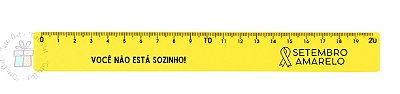 Régua Plástica 20cm