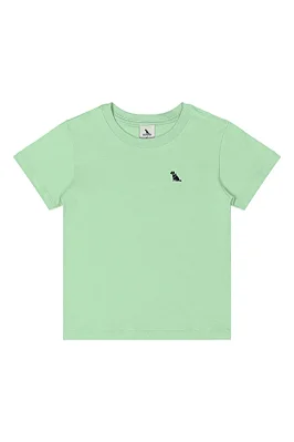 Camiseta Masculina em Manga Curta em Meia Malha na Cor Verde Claro Quimby