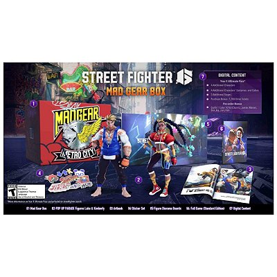 Jogo PS4 Street Fighter V (Arcade Edition)