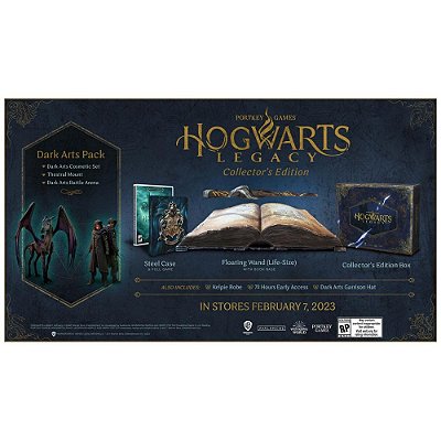 Jogo Hogwarts Legacy Collectors Edition - PS4