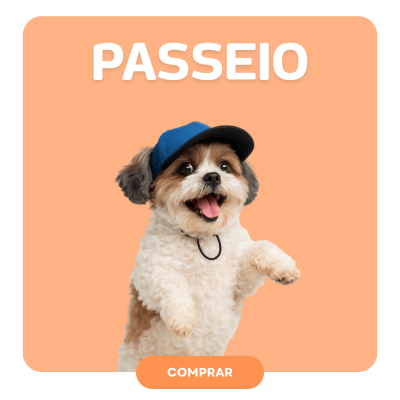 Passeio