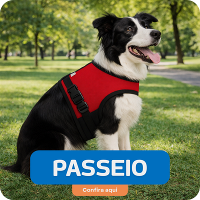 Passeio