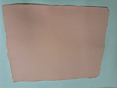 Papel Artesanal Preserve Flora Rosa - Formato 50x70cm