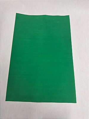 Papel Camurça Verde Bandeira E11 40x60cm com 10 folhas