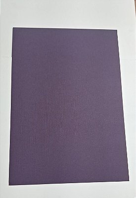 PAPEL A4 210X297 COLOR PLUS TELADO MENDONZA 180G C/ 25 FLS