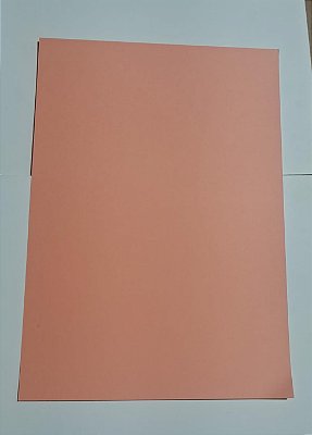 PAPEL A4 210X297 COLOR PLUS COSTA DO MARFIM 240G C/ 25 FLS