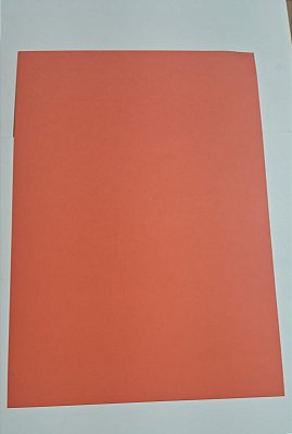 PAPEL A4 210X297 COLOR PLUS COSTA RICA 180 C/  25 FLS