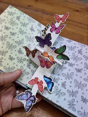 Aula de Livro Pop-up - O Voo das Borboletas em 30/09