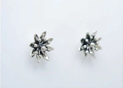 BRINCO EDELWEISS