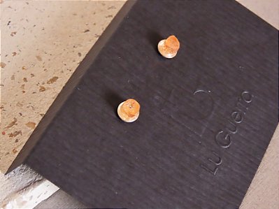 BRINCO COPINHO TOPÁZIO IMPERIAL II