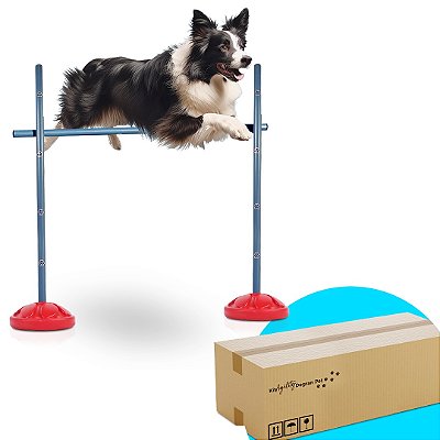 SALTO DE 1M PARA AGILITY - ADESTRAMENTO E RECREAÇÃO DE CACHORRO