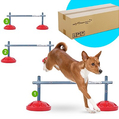 3 MINI SALTOS PARA AGILITY - ADESTRAMENTO E RECREAÇÃO