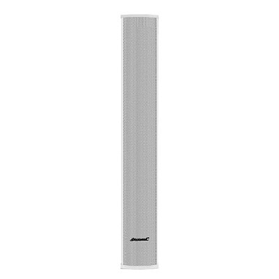 Caixa Acústica Line Array Vertical Oneal OLB1202 BR 300W