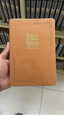 Bíblia ICM Letra GIGANTE Marrom Claro