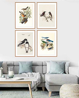 Quadros pássaros com moldura  em madeira  e vidro