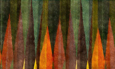 Impressão em tecido Canvas Abstrato Folhas Cores