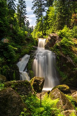 Impressão em tecido Canvas Paisagem Cachoeira