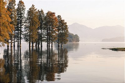Impressão em Canva Paisagem Outono Árvores no Lago