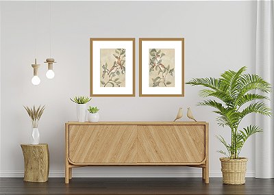 ENCANTO DOS PÁSSAROS