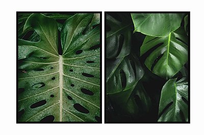 QUADROS FOLHAS KIT 2 PEÇAS 60 x 80cm cada