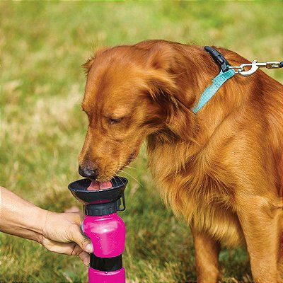 Bebedouro Portátil para Cães Acqua Dog - rosa