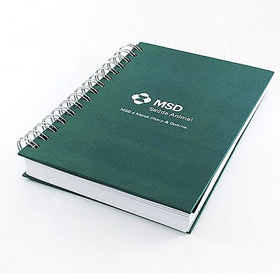 Agenda Personalizada / Caderno Personalizado