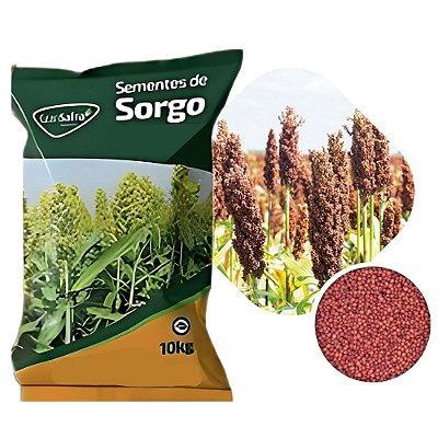 Sorgo Granífero BRS 373 Gransafra - 10kg