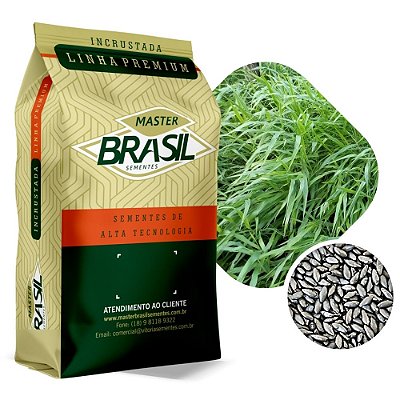 Brachiaria Decumbens Sementes Incrustadas 10kg