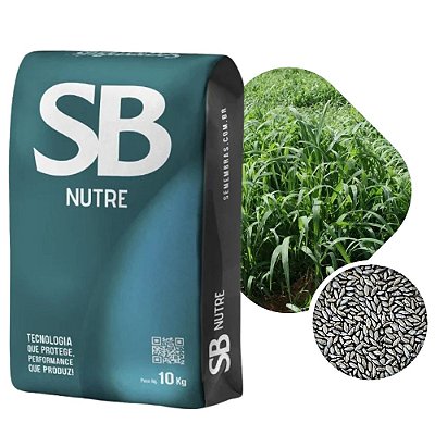 Capim Miyagui Incrustado SB 10kg