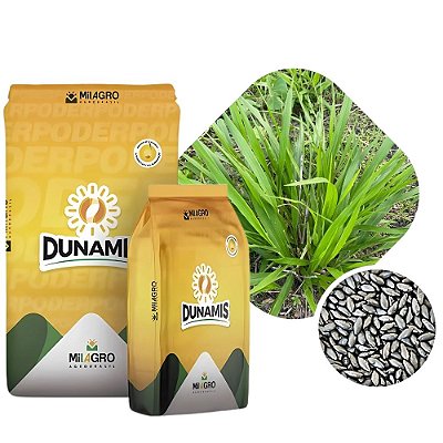 Brachiaria Dunamis Sementes Incrustadas 10kg