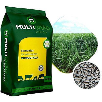 Brachiaria MG5 Xaraés Sementes Incrustadas 10kg