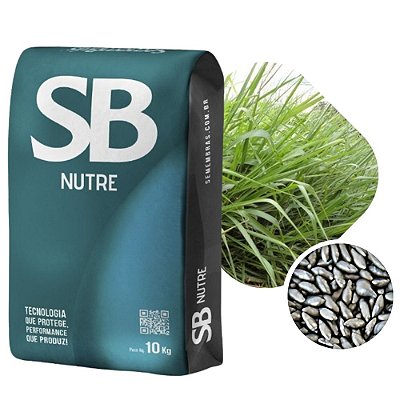 Brachiaria Brizantha Marandú SBS Nutre