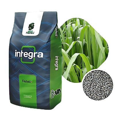 Capim BRS Zuri Sementes Incrustadas Facholi Integra 10kg