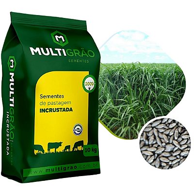 Capim Brach Brizantha Marandú Sementes Incrustadas 10kg