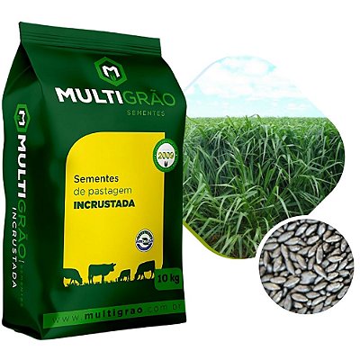Brachiaria BRS Piatã Sementes Incrustadas - 10kg