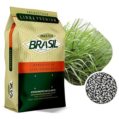 Brachiaria Ruziziensis Sementes Incrustadas 10kg #