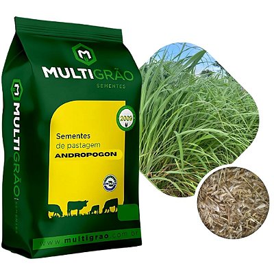 Capim Andropogon Planaltina 06kg #