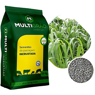 Capim BRS Zuri Sementes Incrustadas 10kg