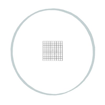 Retículo Quadriculado 10mm/100 divisões - TA-0262