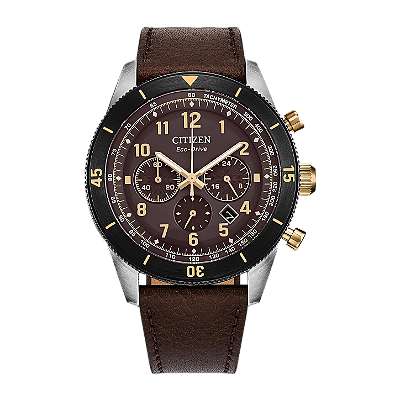 Citizen Terra Force