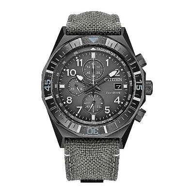 Citizen Promaster